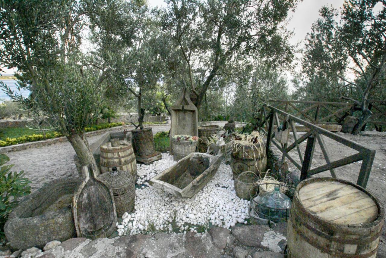 Assos Dionysos Special Class Hotel Adults Only 12 Years מראה חיצוני תמונה