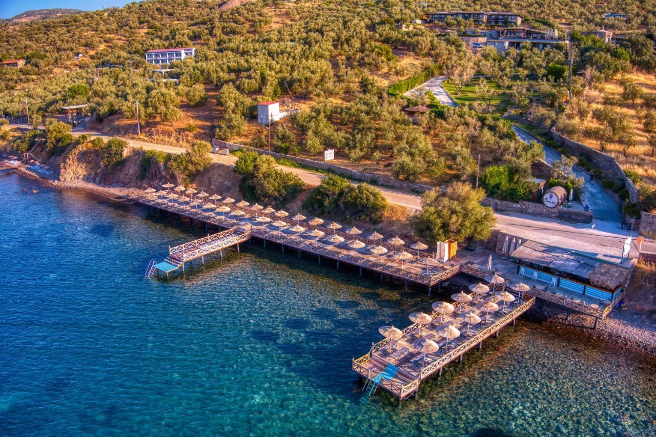 Assos Dionysos Special Class Hotel Adults Only 12 Years מראה חיצוני תמונה