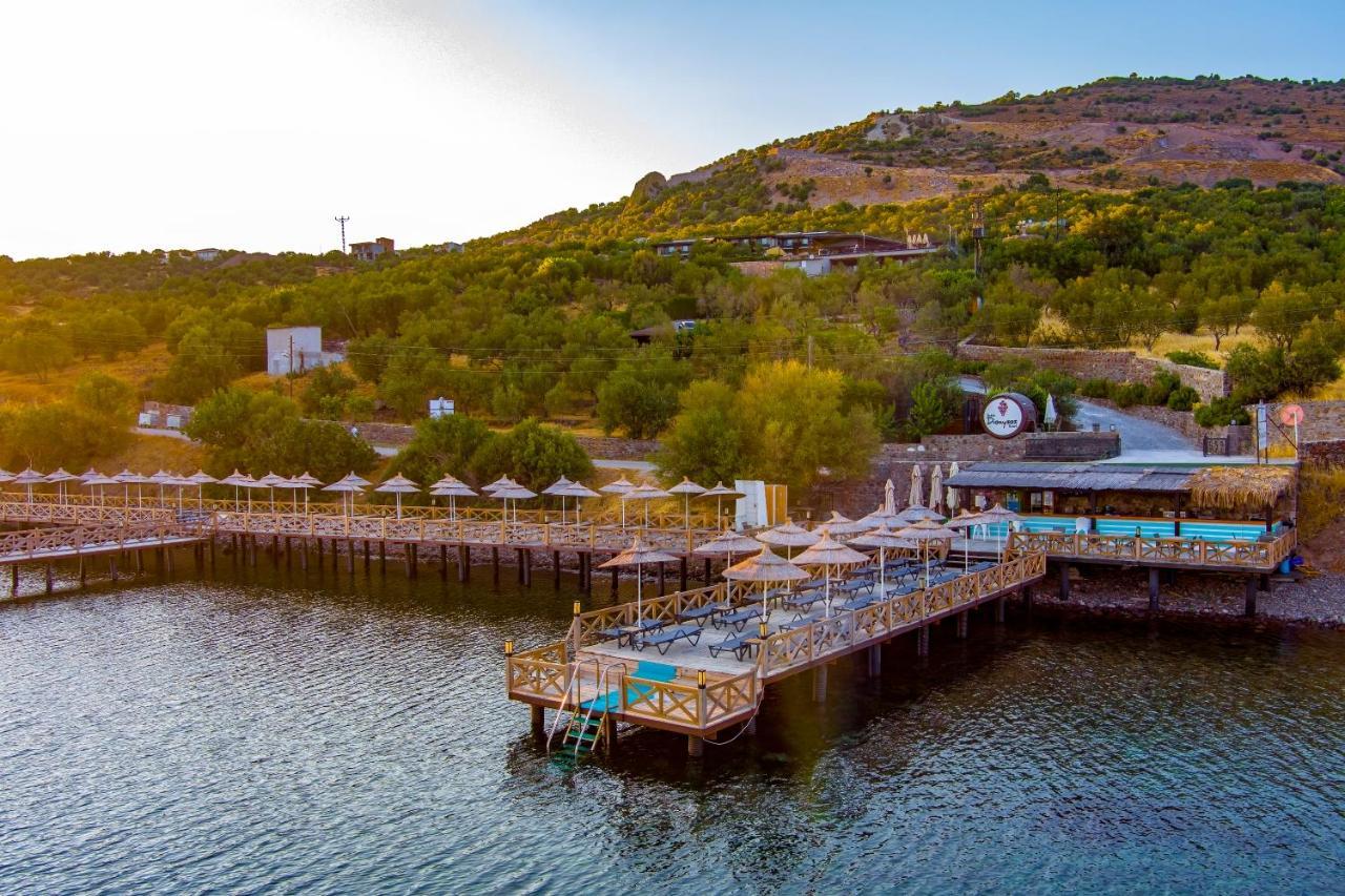 Assos Dionysos Special Class Hotel Adults Only 12 Years מראה חיצוני תמונה